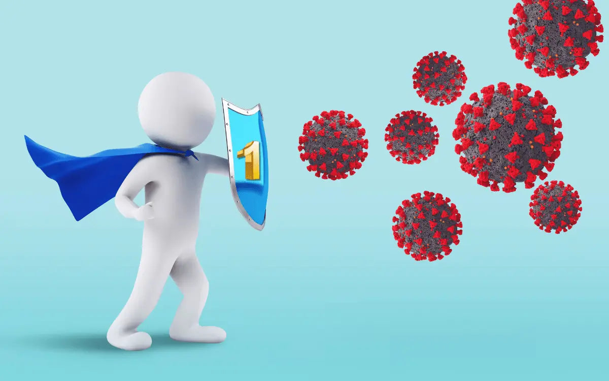 A stylized figure with a cloak and shield faces viruses, symbolizing the defense of the immune system.